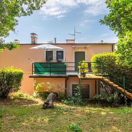3 Bedroom Cozy In Daire